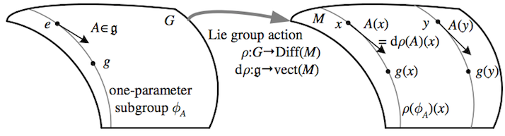 representation of lie group